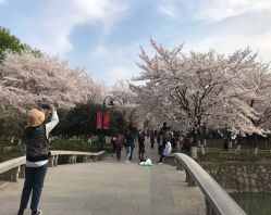 点击看大图 -玄武湖景区-情侣园游乐场