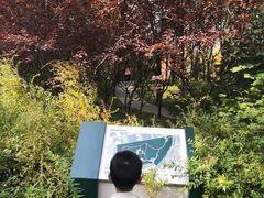 -北极寺公园
