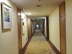 -江门新会碧桂园凤悦凤凰酒店(万达广场店)