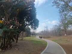 -白鹭湾湿地公园