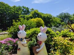 -上海共青森林公园