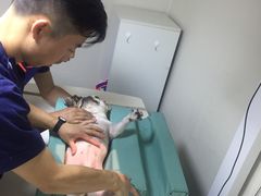 -谐和益家动物医院·免疫绝育·血液透析·宠保定点医院(高新伊藤分院)