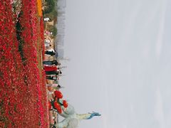 -即刻反应应急安全体验基地