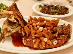 松鼠桂鱼-得月楼·省级非遗·传统苏帮菜(观前店)