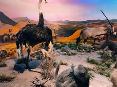 -国家自然博物馆