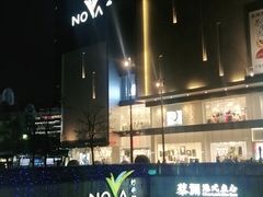 -岭南站NOVA