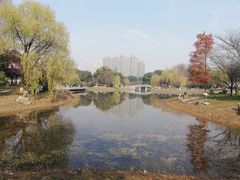 -堤角公园