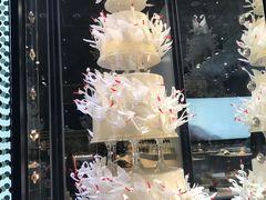 -BLACKSWAN黑天鹅(环球店)