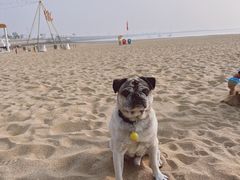 -法诗甜蛋糕店(皇姑大润发店)