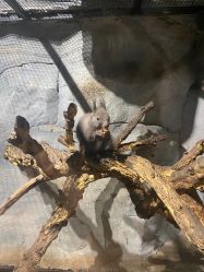 -Zoolung Zoolung动物主题公园(海信广场店)