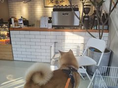 -小意思咖啡店(草桥店)