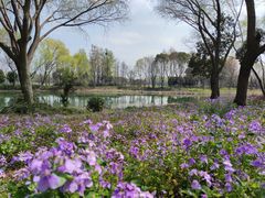 -虎丘湿地公园