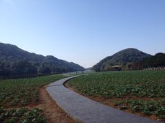 -广州市石门国家森林公园