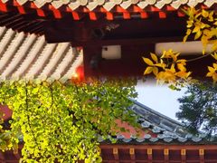 -趵突泉景区