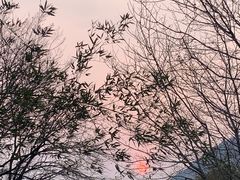 -青岛崂山太清宫
