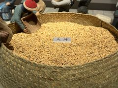 -中国京杭大运河博物馆