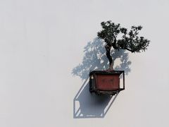 -岭南美术馆