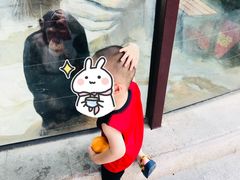 -灵玲国际马戏城