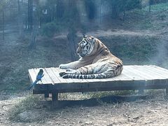 -大连森林动物园