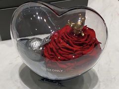 -ROSEONLY诺誓(青岛万象城店)