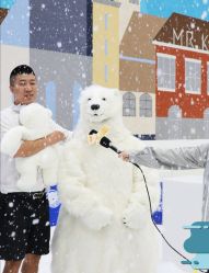 -Mr·Kuma酷么先生雪之乐园
