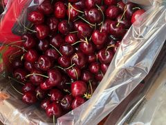 -西郊国际农产品交易中心