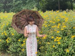 -滨湖塘西河公园