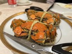 -新光酒家·河豚·海鲜·蟹料理(浦东店)