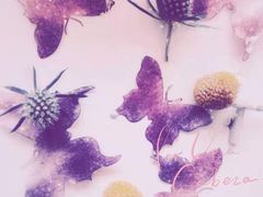 -小苍兰风铃草·礼物蛋糕(沈阳店)