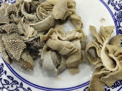 散丹-东兴顺爆肚张