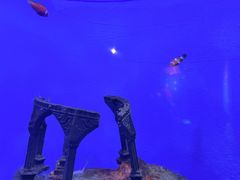 -海合安武汉极地海洋公园