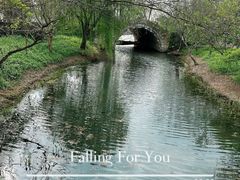 -广富林郊野公园