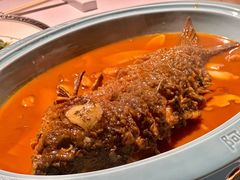 红烧黄河鲤鱼-阿五黄河大鲤鱼(纬三路店)