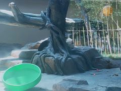 -宁波野生动物园