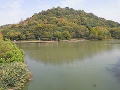 -绍兴镜湖国家城市湿地公园