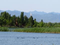 -野鸭湖国家湿地公园
