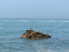 -长岛南北长山旅游景区