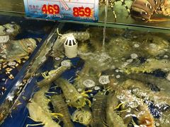 -东江海鲜酒家(艺都分店)