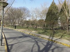 -南长河公园