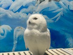 -成都浩海立方海洋公园