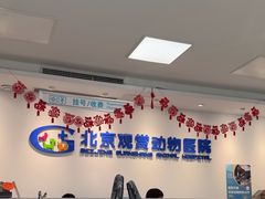 -北京观赏动物医院·24小时大型综合·猫专科·异宠专科