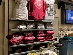 -九又四分之三站台