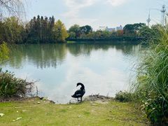 -南通濠河风景名胜区