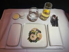 -新加坡航空公司(ION)