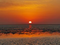 -上海棕榈滩海景酒店