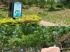 -翠湖国家城市湿地公园