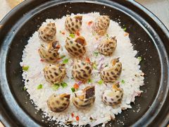 盐焗海螺-粤盛海鲜平价店(洛溪食街店)