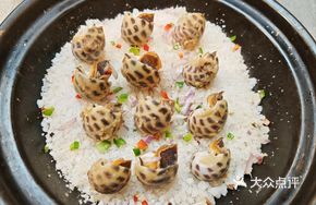 Salt-Baked Zhanjiang Sea Snail