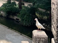 -音乐台