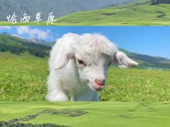 -赛里木湖风景名胜区